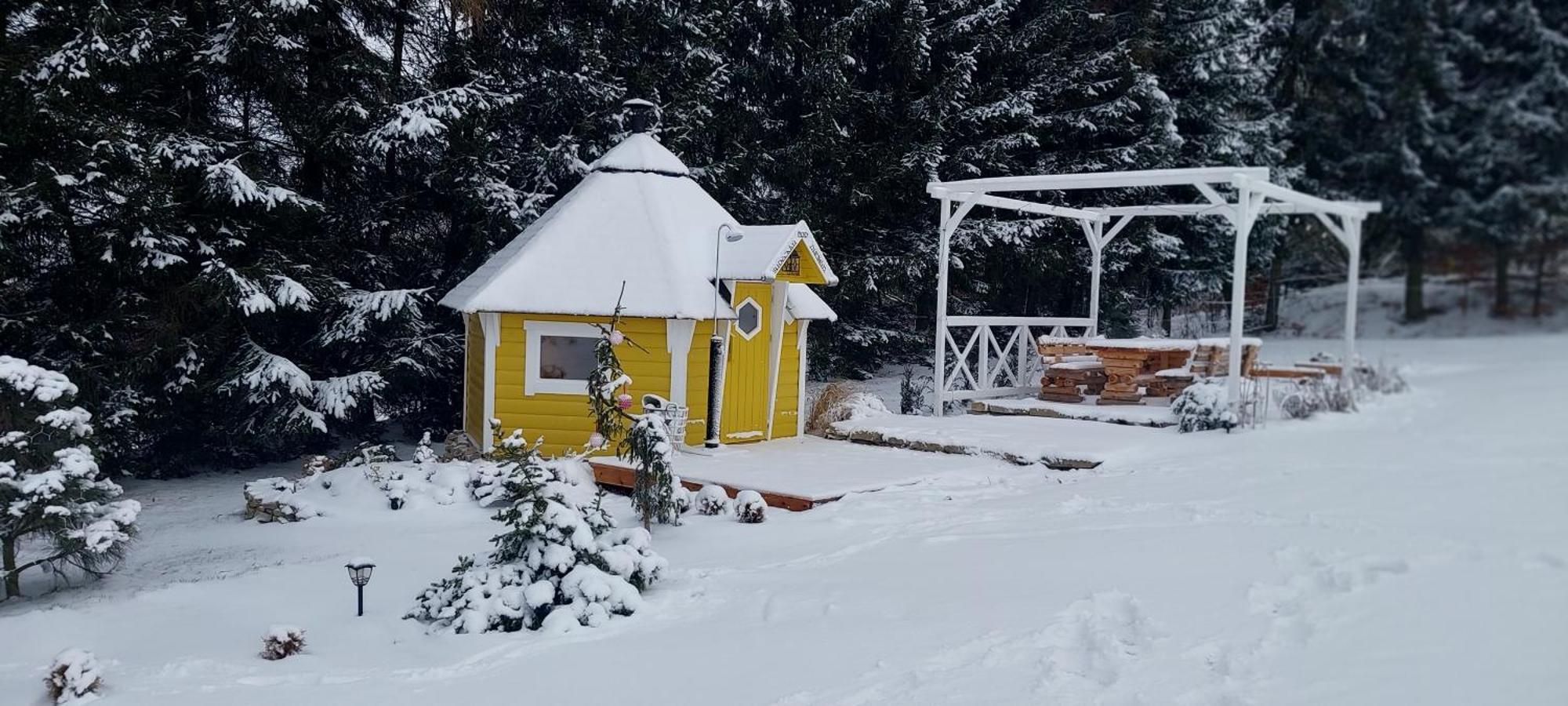 Pod Sudeckim Niebem Holiday home *